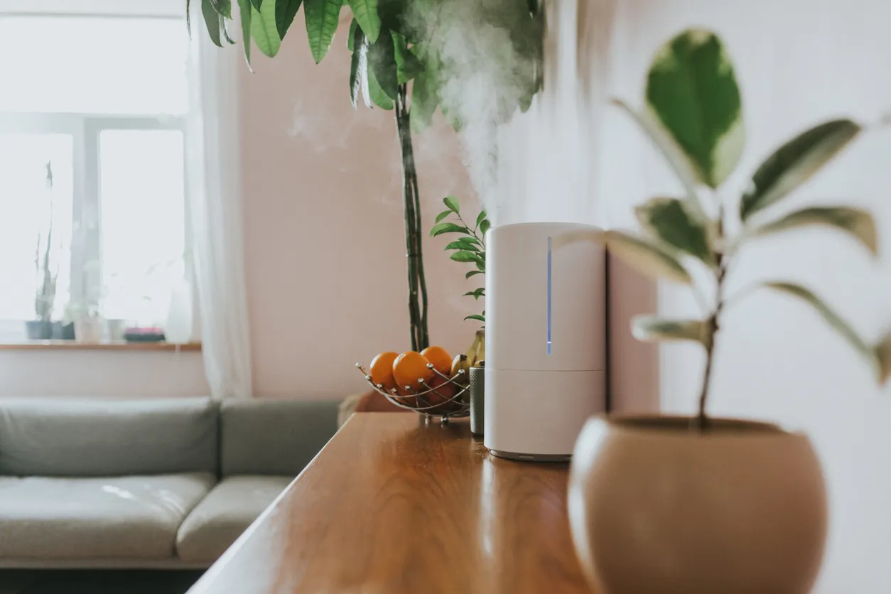 Whole House Humidifier In Longview, TX 10 Whole House Humidifier