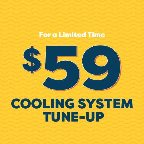 Alco Q1 2025 Offers Tune Up