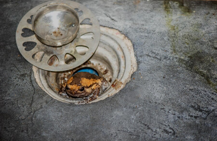 drain blockages