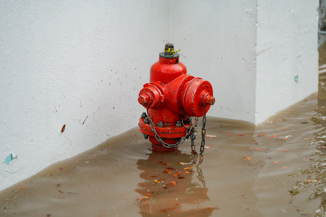 emergency plumber Longview
