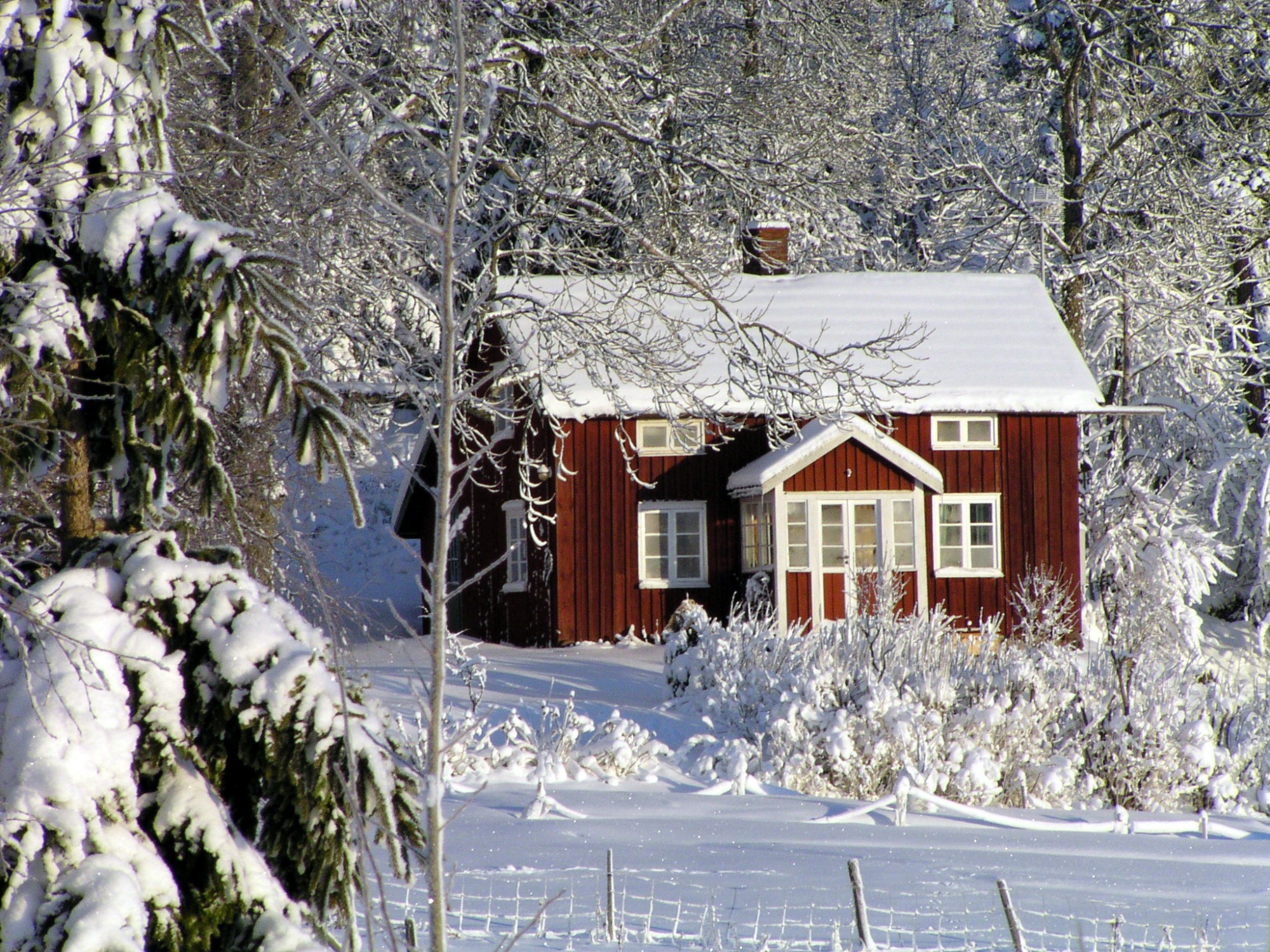 Prepare Your Plumbing for Winter