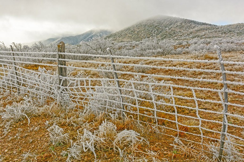 Texas Winter texas winter