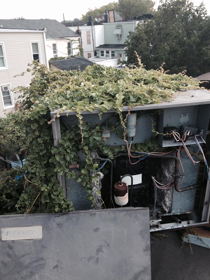 Weed HVAC weeds in a hvac unit