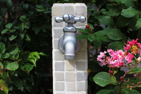 water spigot in bushes water spigot in bushes